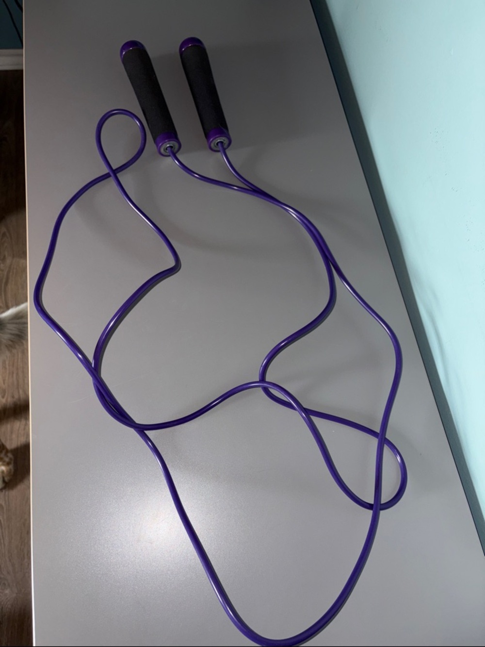 💟 Jump Rope With Removable Weighted Foam Handles